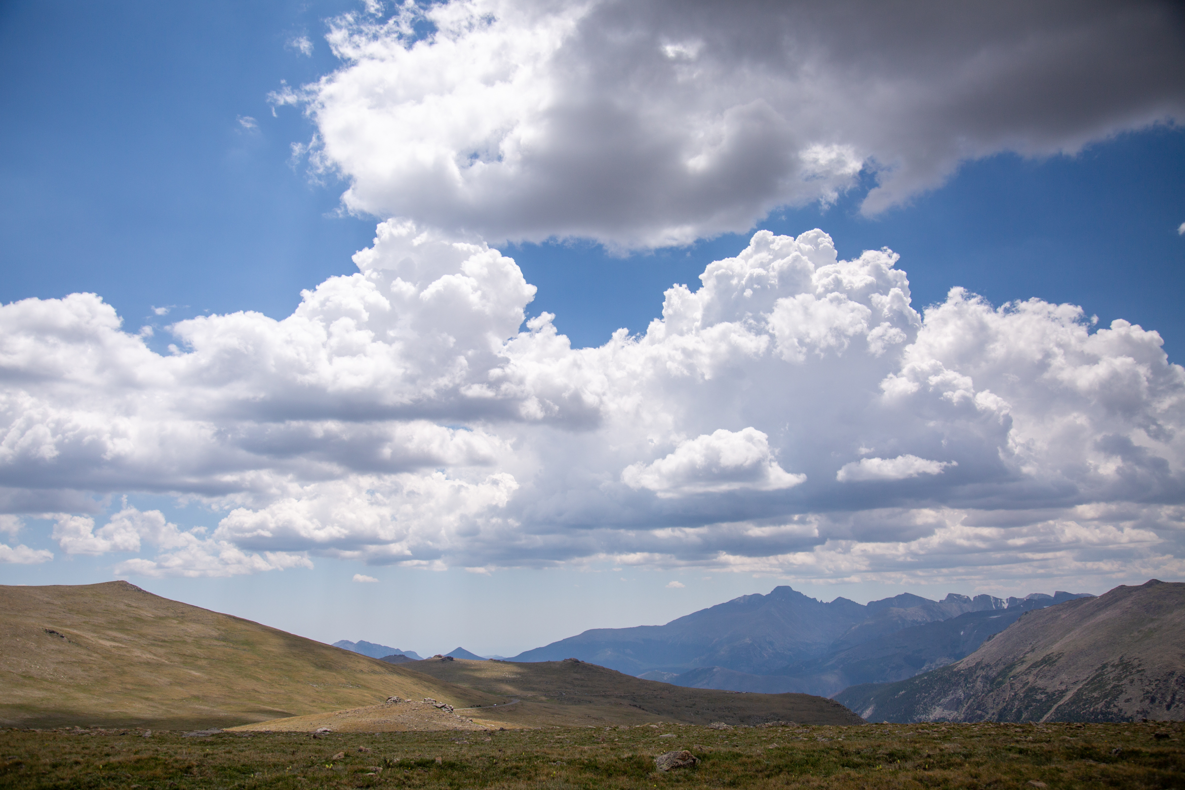 One of my favorite trails on Trailridge Road, with views of Longs Peak
